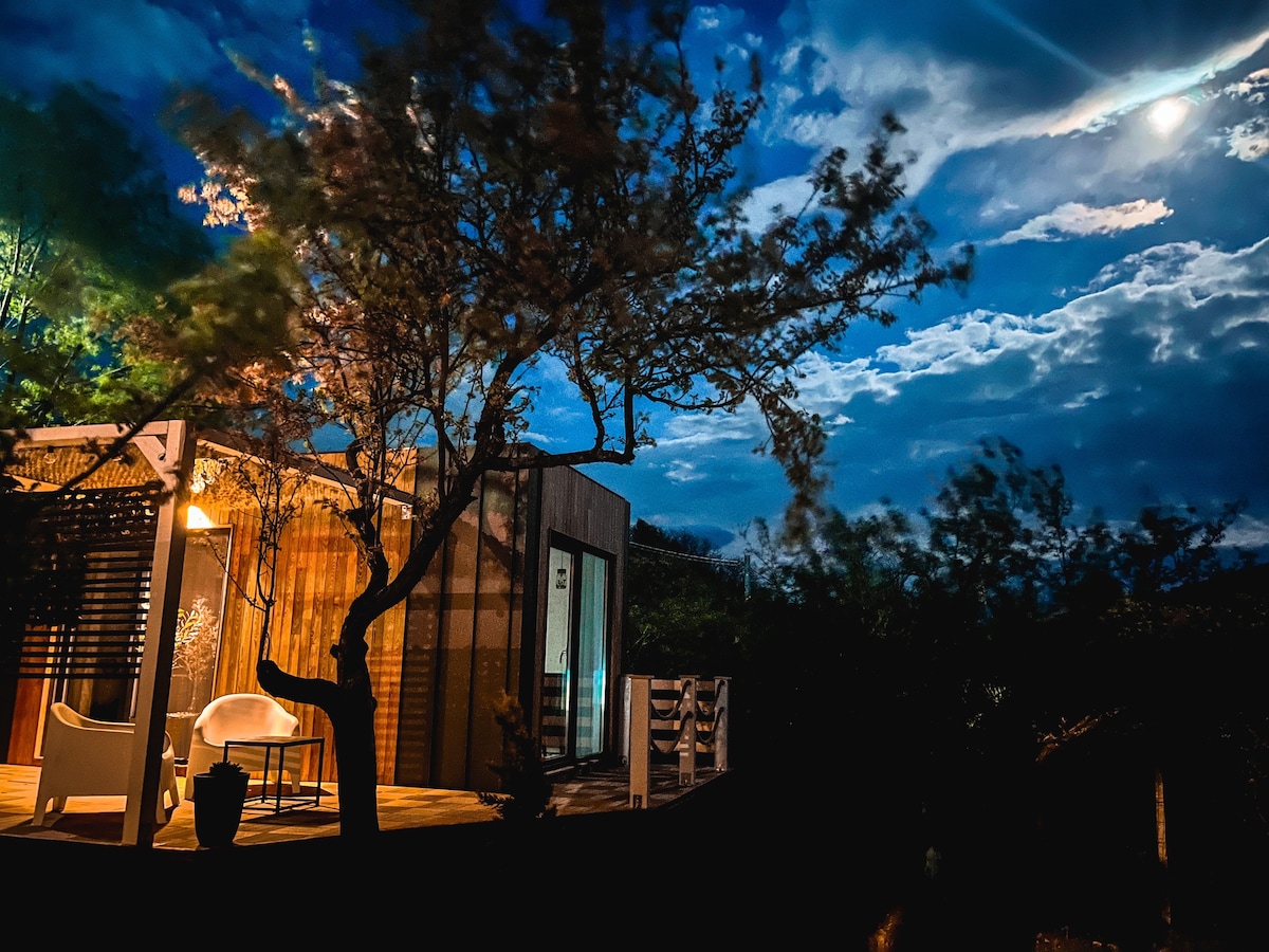 Evergreen - tiny house in the Transylvanian hills