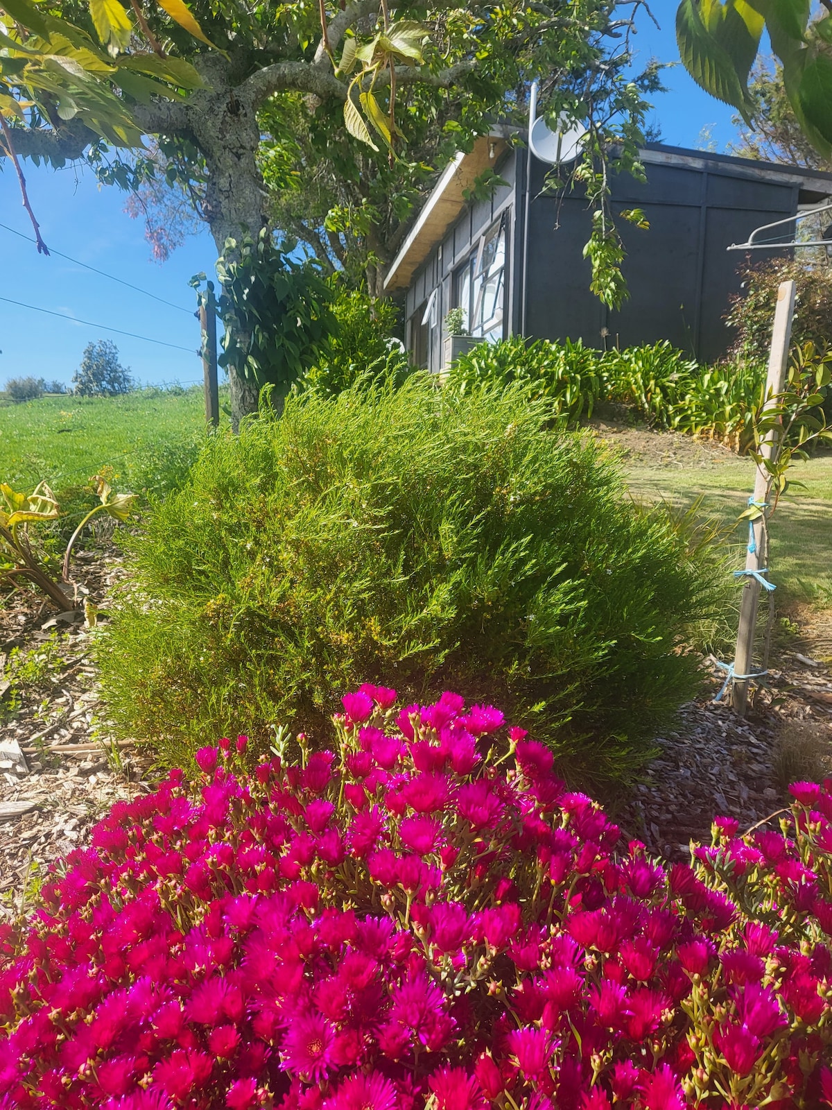 Tui Cottage, a lovely retreat