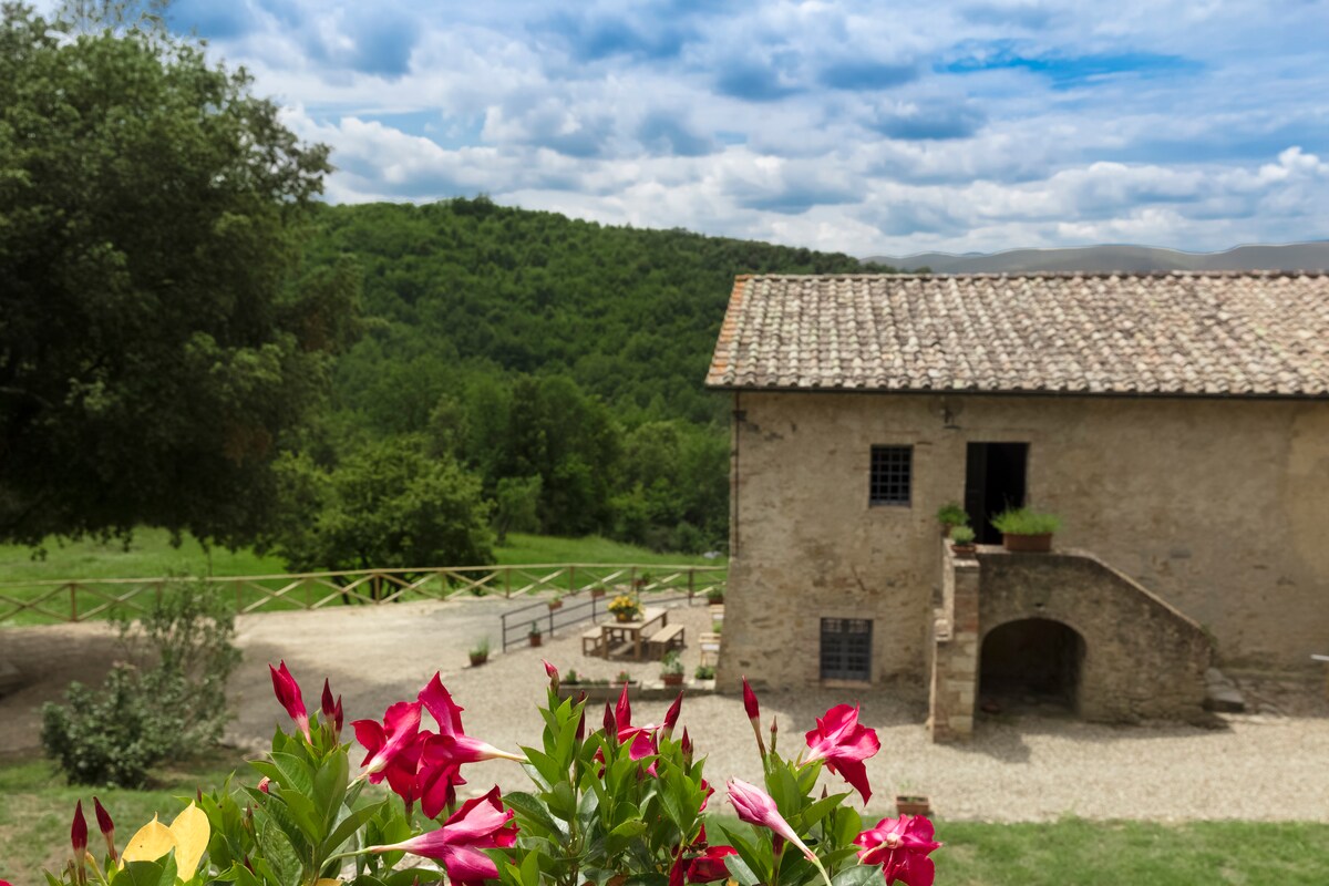 casa in campagna,  18 km da Siena, piscina