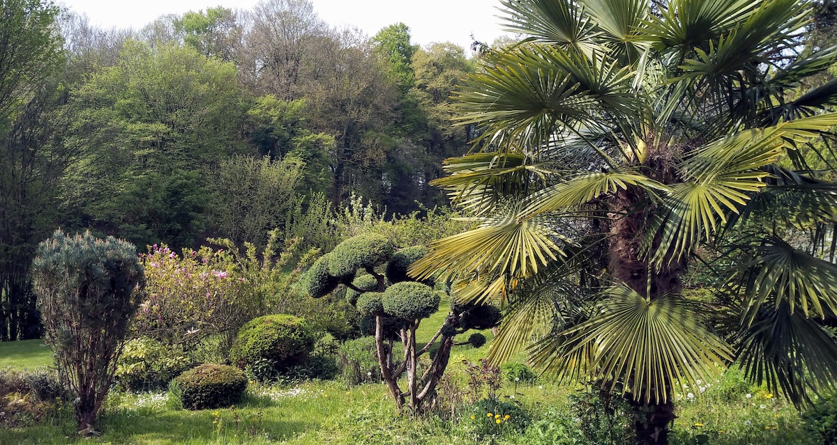 Chambres au calme dans un écrin de verdure.