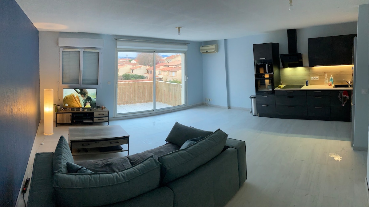 Appartement 55m² avec vue sur Canigou et Parking