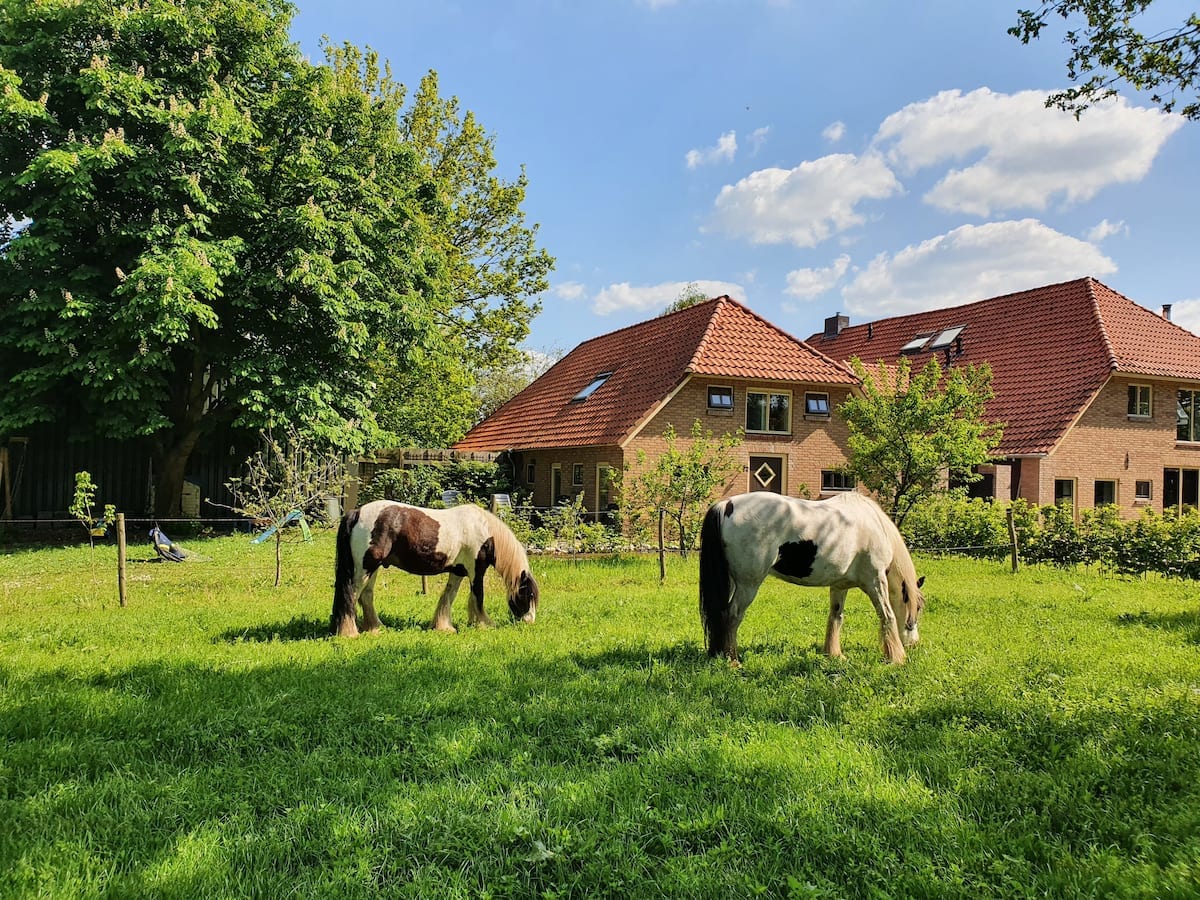 Prachtige, rustige plek in de Achterhoek.