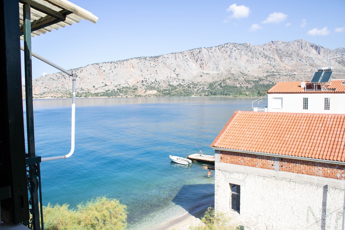 Seaside Traditional Loft "Passeggiata" - Mytikas