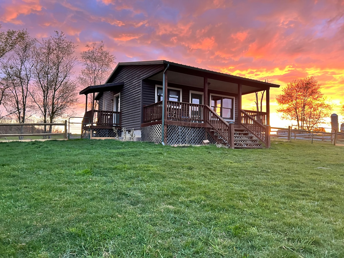 Cabin on a Homestead