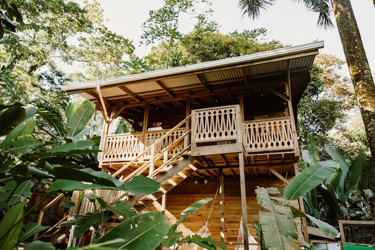 丛林小屋丛林景观|带泳池的房子