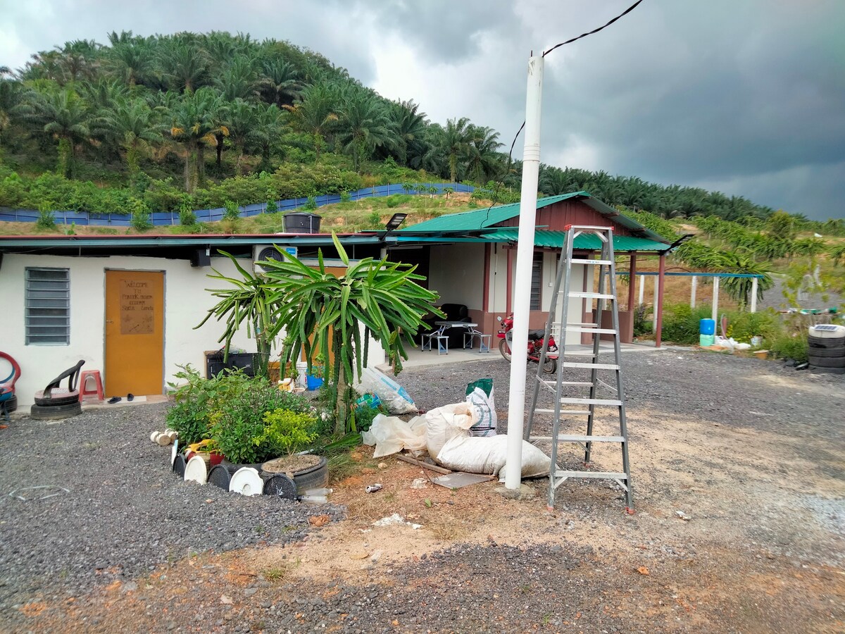 Farm Village Fruit Plant House Alor Gajah, Melaka