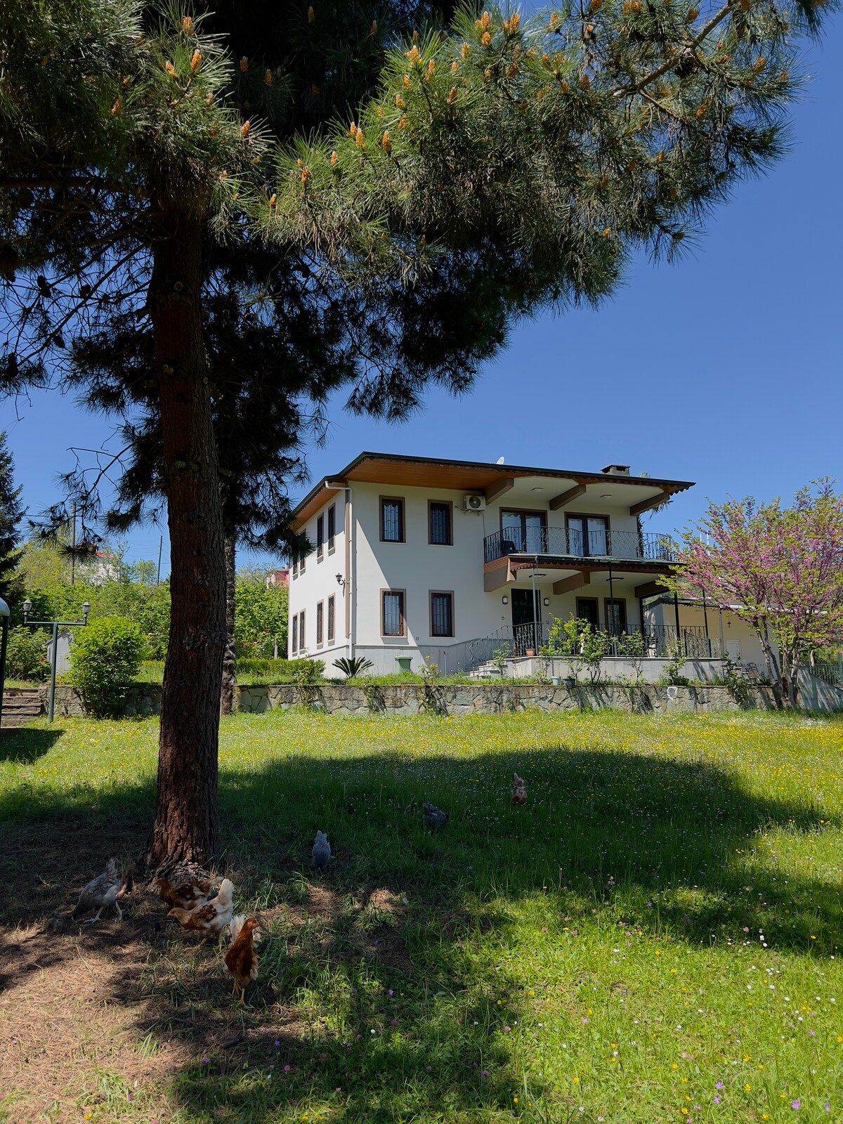 特拉布宗别墅（ Villa Trabzon ）