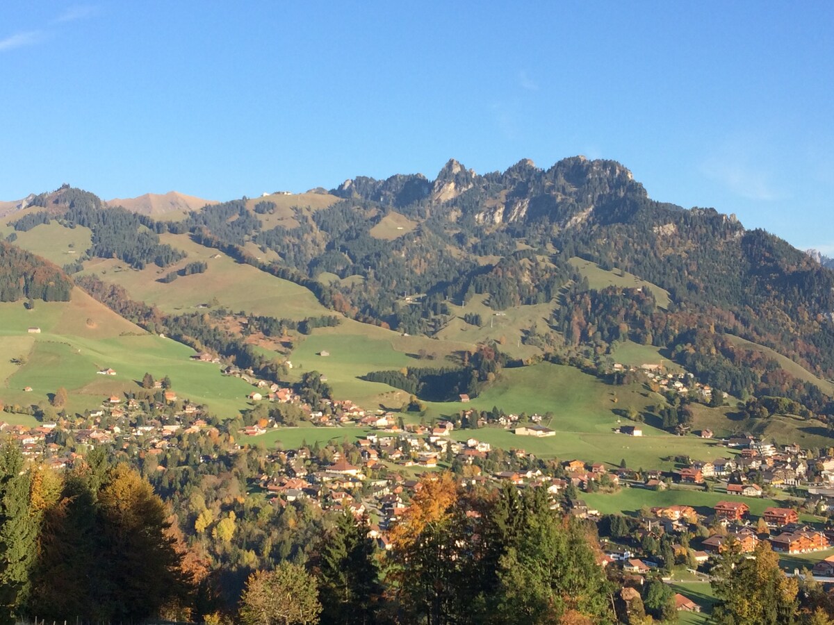 Charmant Chalet - Gruyère - Suisse