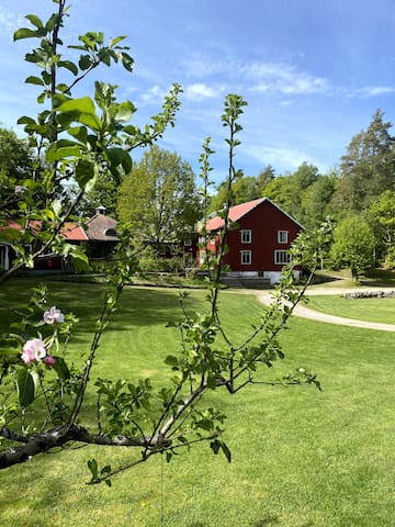 Svartrå的民宿