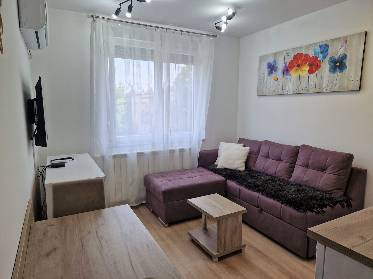 GEA 31号公寓， Novi Sad - Detelinara ， 31平方米