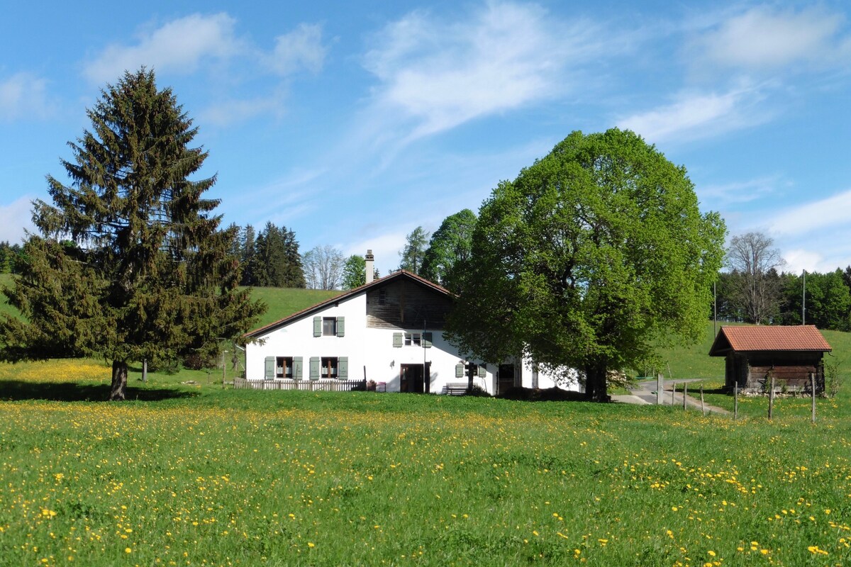 Charmant petit logement