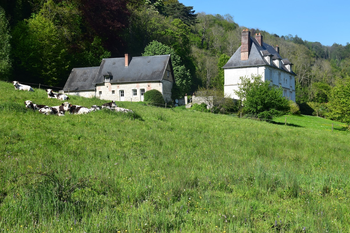 Manoir des Roques