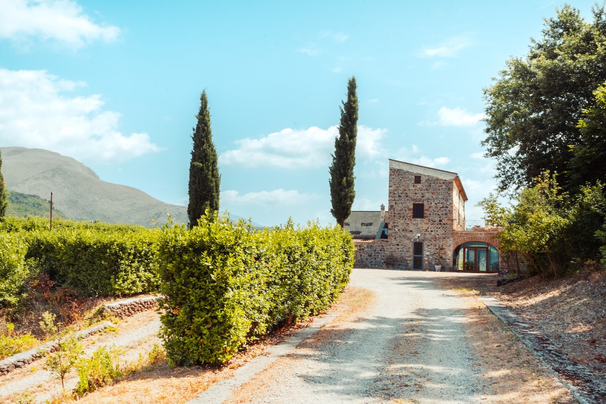 Countryhouse LE VIGNE Falanghina