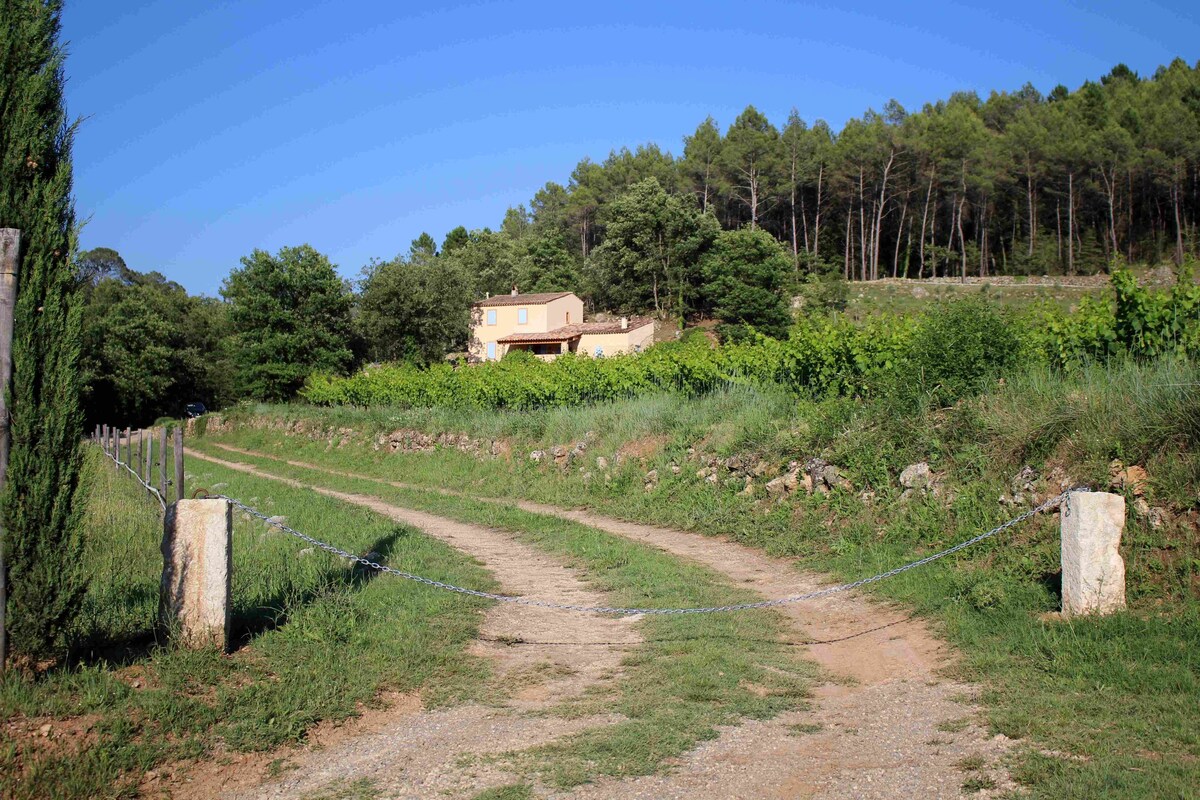 Bastide zwischen Wein und Oliven