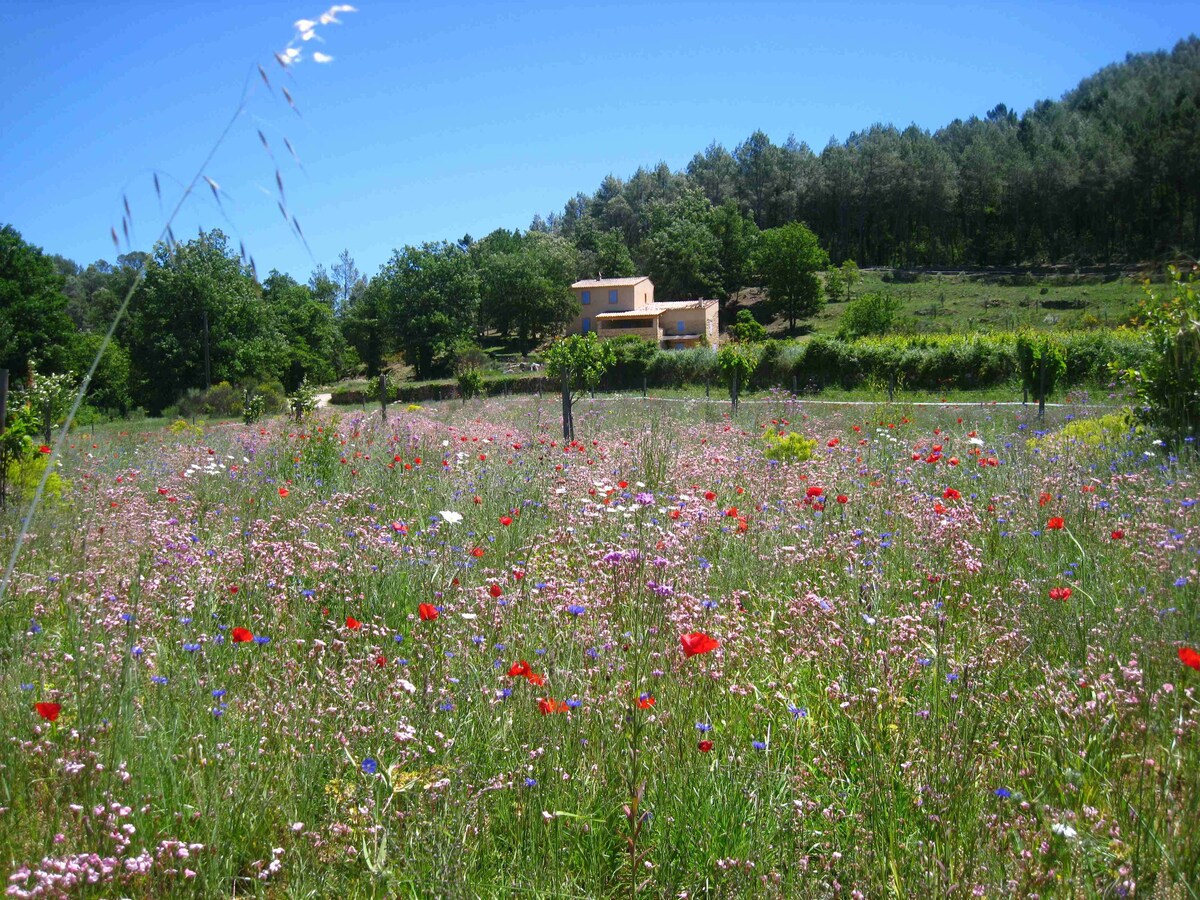 Bastide zwischen Wein und Oliven