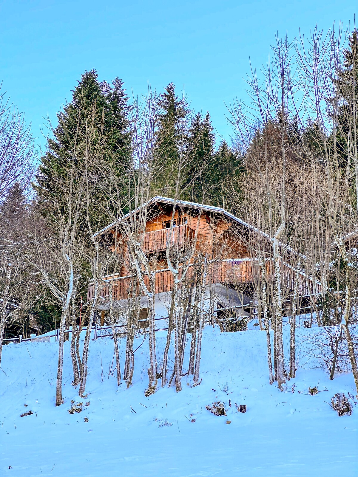 Chalet Mouflon - Vue unique entre lac et montagne