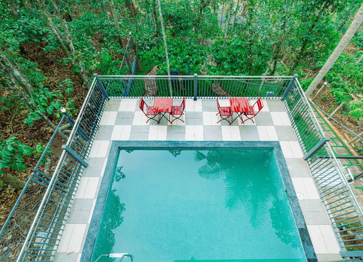 Amazing 9 bh pool villa wayanad