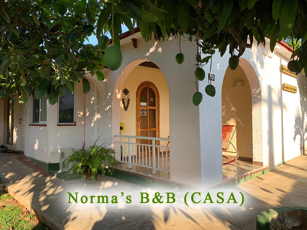 Norma 's B&B (CASA)