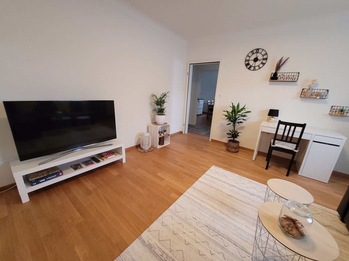 Cozy apartment close to Basel
