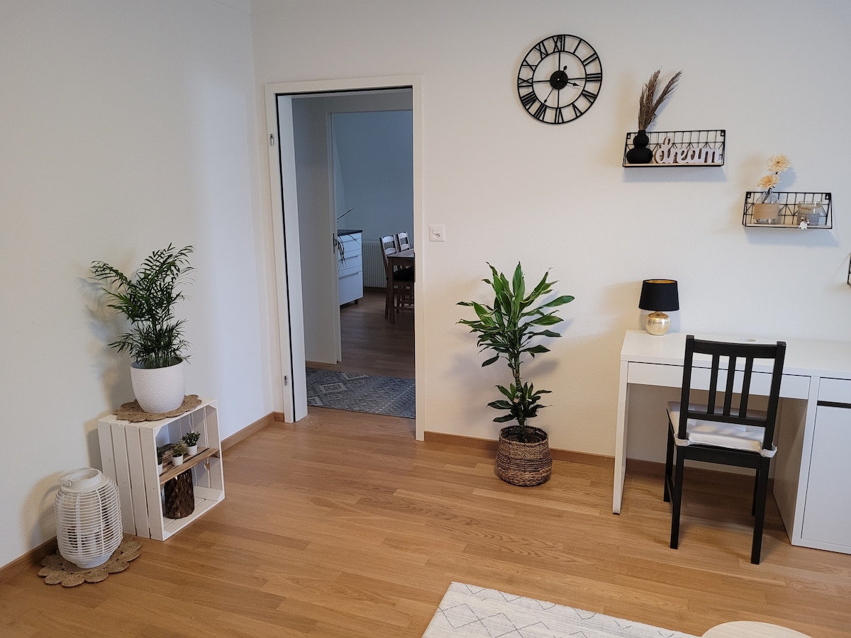 Cozy apartment close to Basel