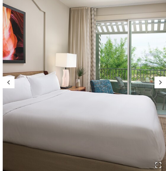 Marriott's Canyon Villas-1 Bedroom #1