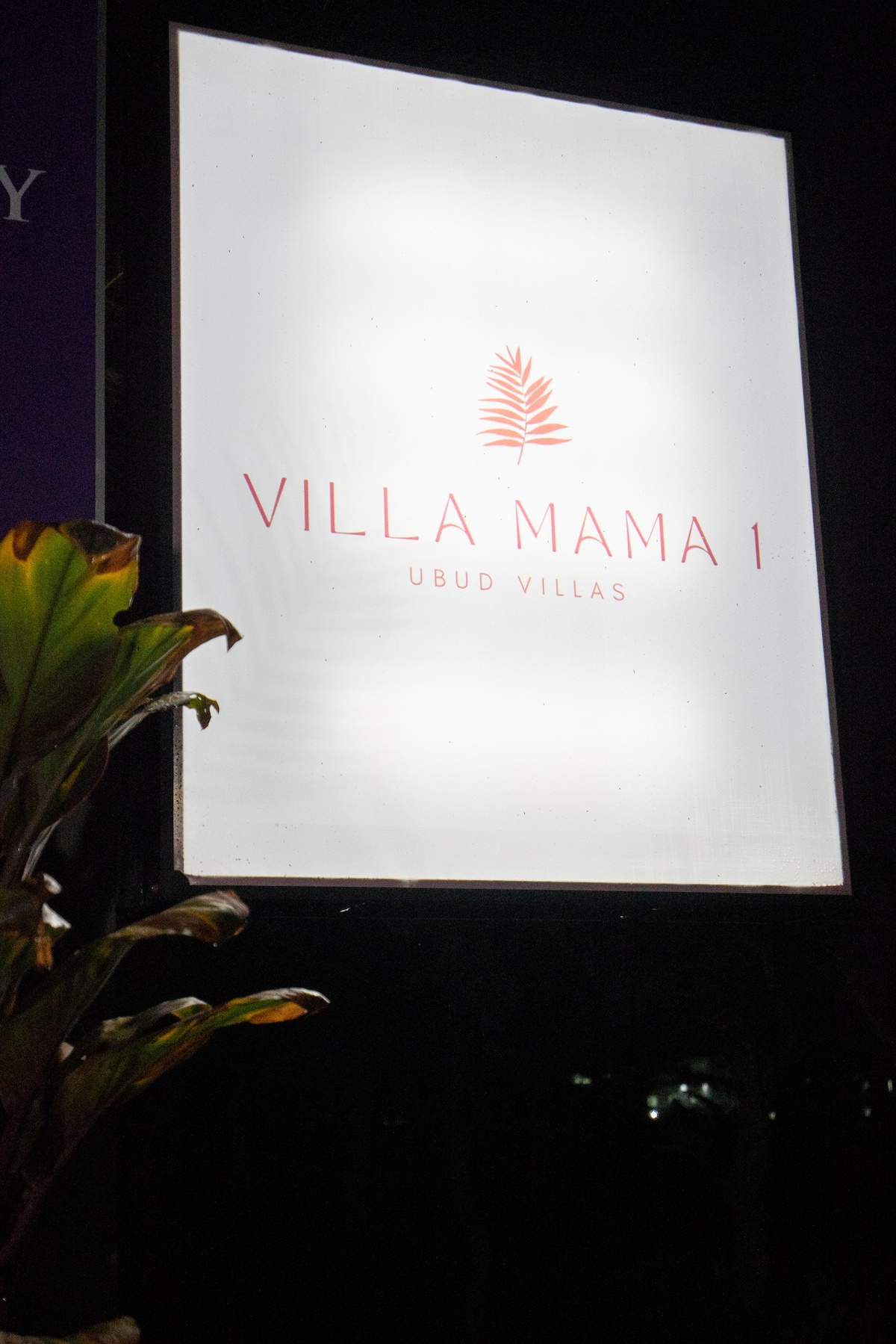 Villa Mama 1 Room D -乌布
