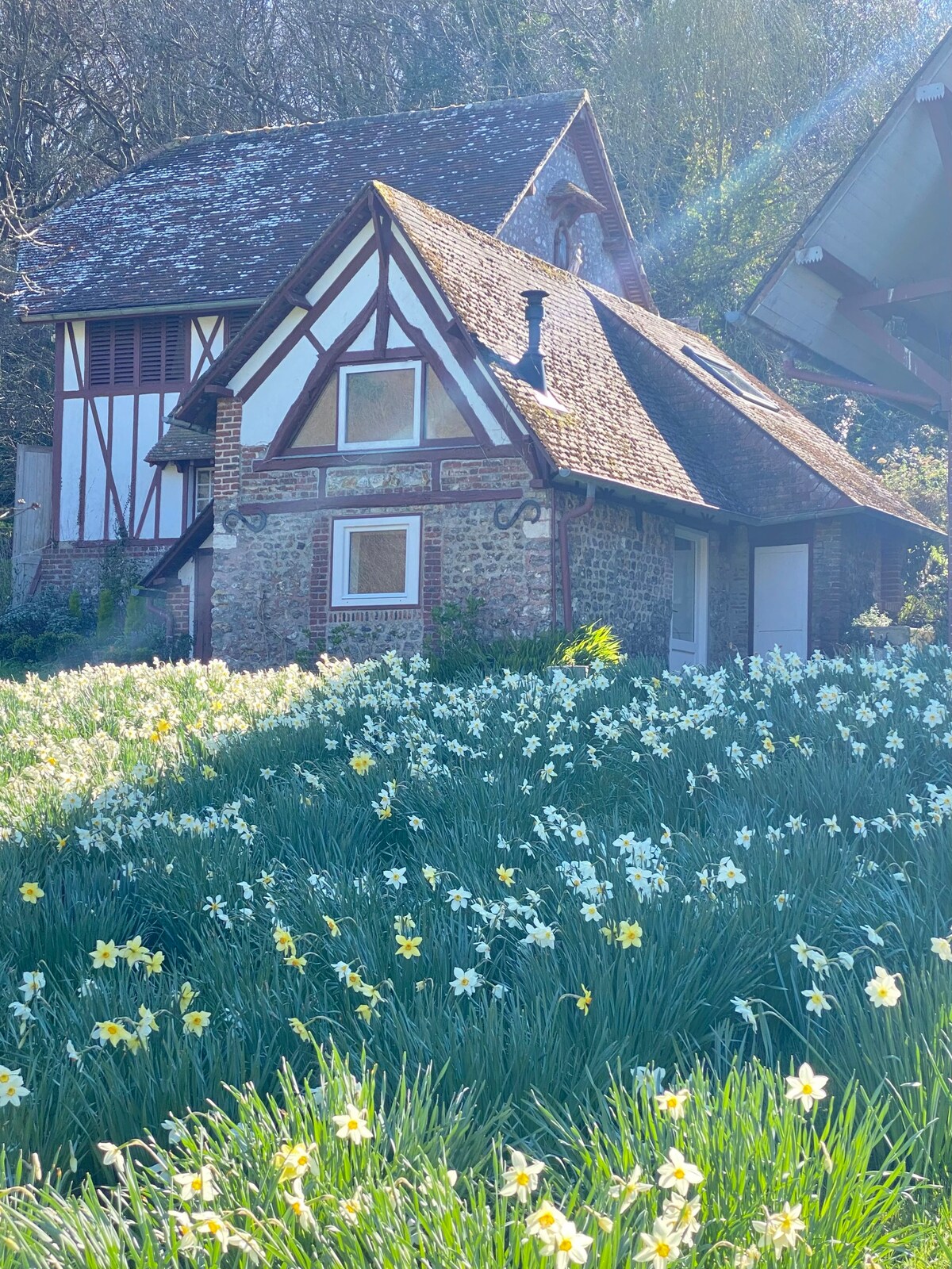 Romantic Cottage by the Sea