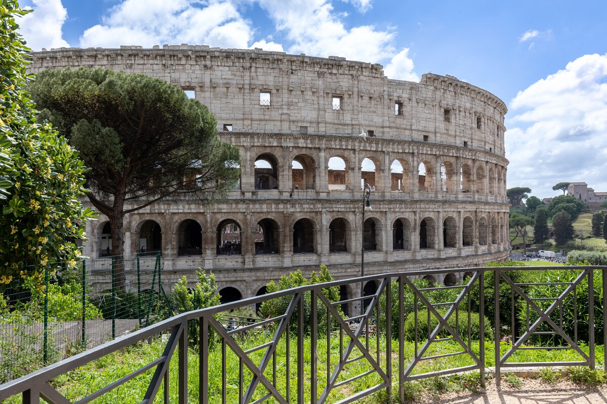 俯瞰斗兽场（ Colosseum ）的假期。