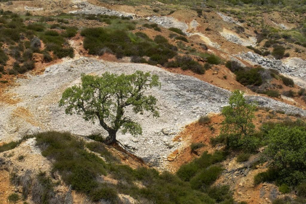 Monolocale Nido in Toscana