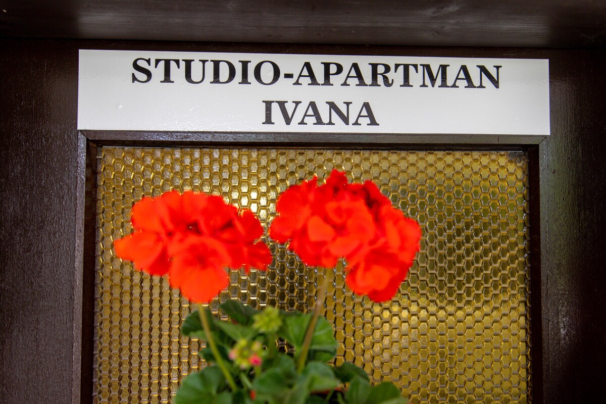 Studio apartman Ivana