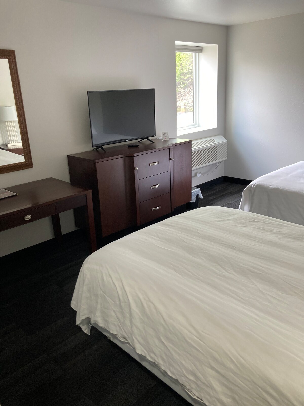 Room 210 - 2 Double Beds