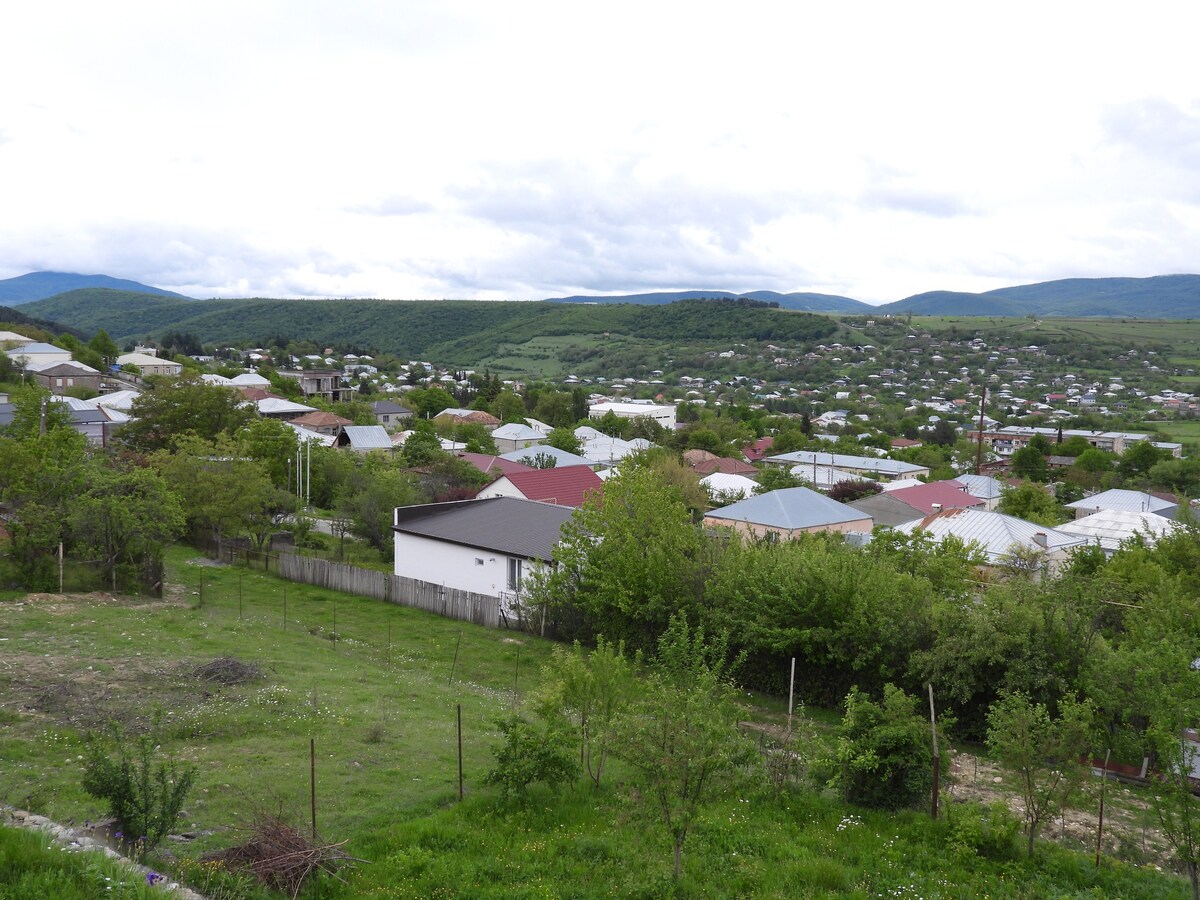 Dusheti 23, villa with view