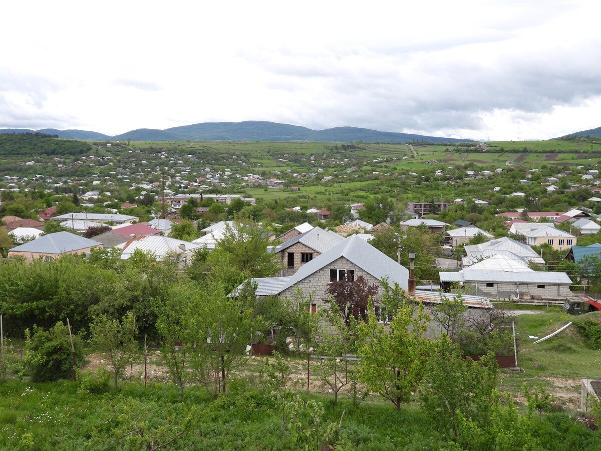 Dusheti 23, villa with view