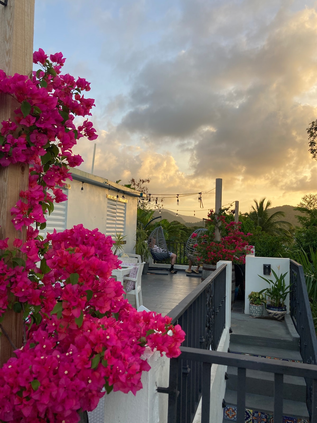 Rainforest Honeymoon Suite hottub & Prvt Balcony