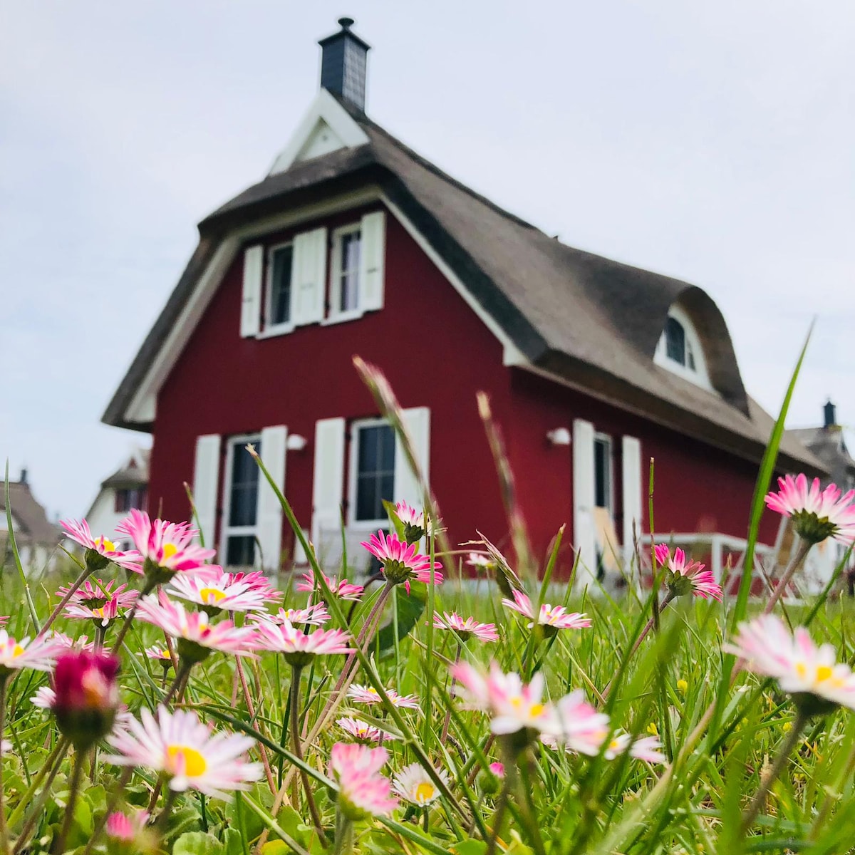 Ferienhaus „Küstenliebe“ Stralsund (Ostsee)