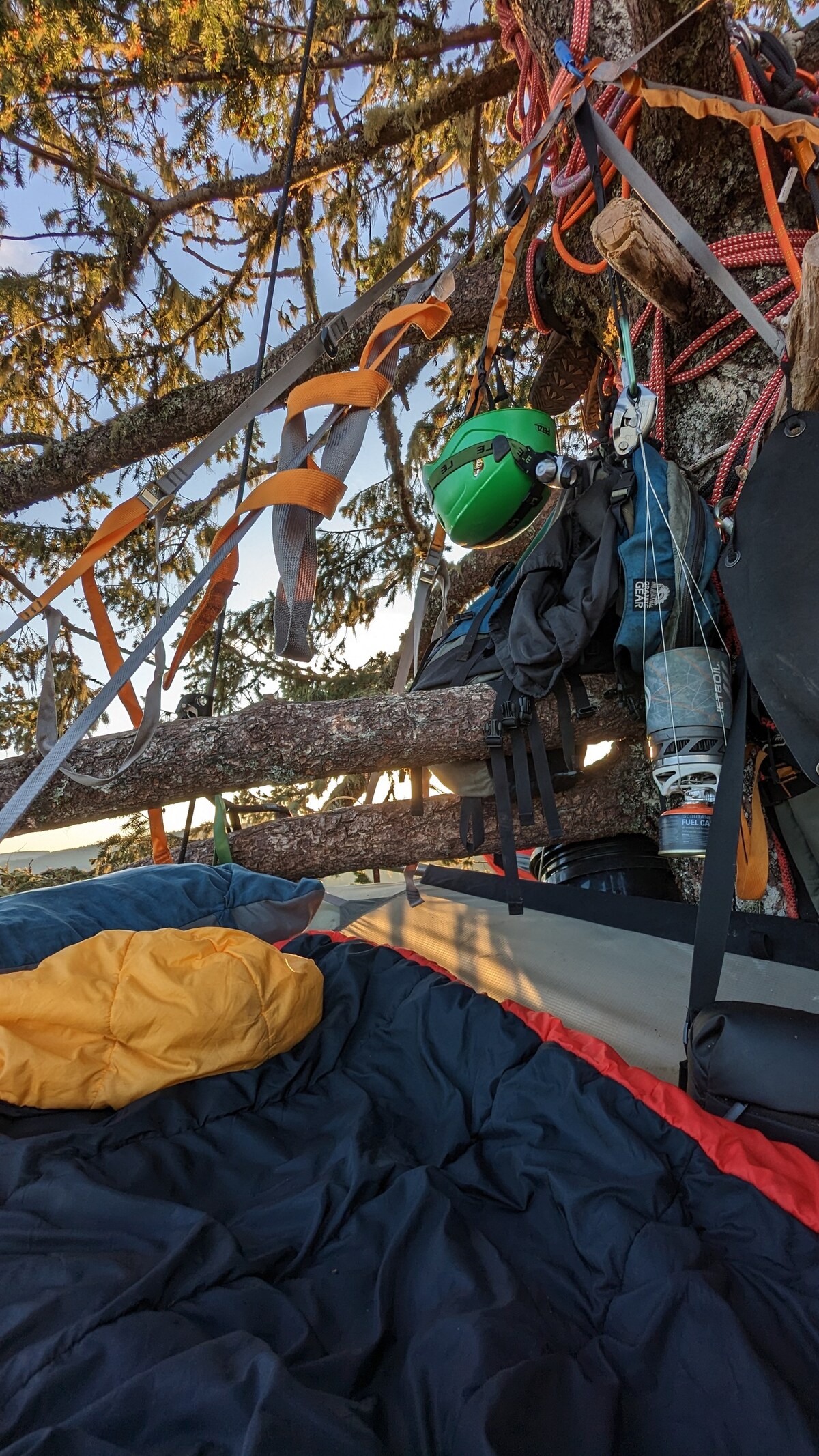 Tree Camping at Silver Falls