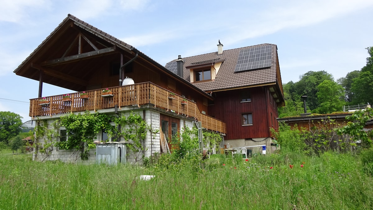 Ruhiges Zimmer mit Blick zum Pilatus