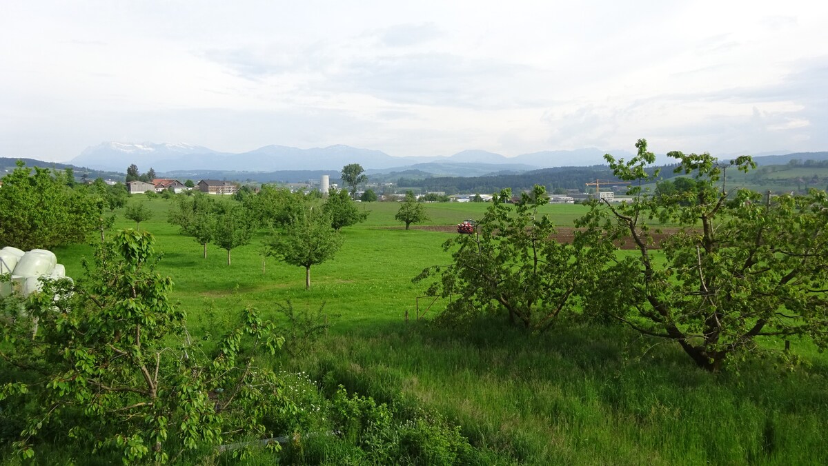 Ruhiges Zimmer mit Blick zum Pilatus