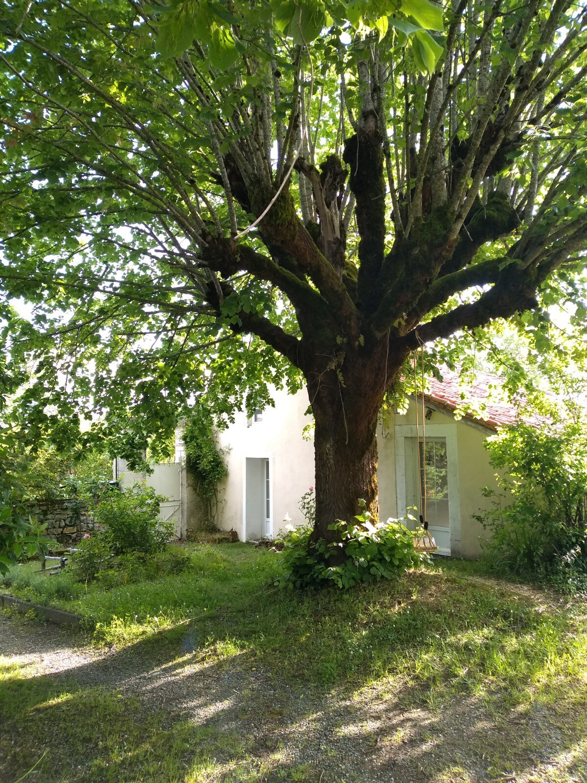 Petite maison dans parc arboré