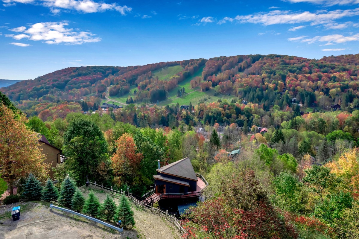 Chalet Lyon