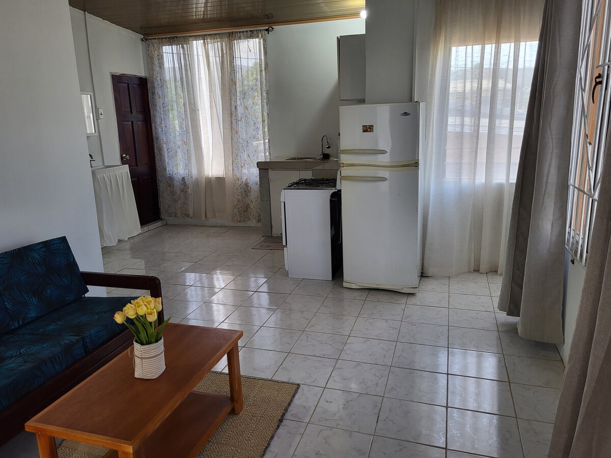 Sunny 1Br 10mins from Downtown