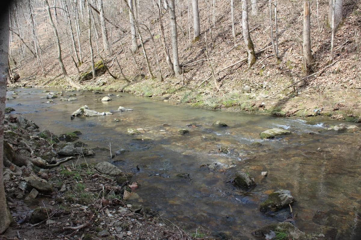 Creekside Cabin