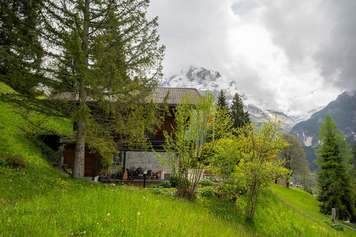 Chalet Steinegg Grindelwald