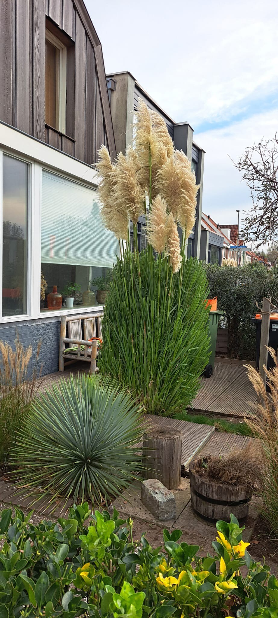 Surf House Karibu Wijk aan Zee