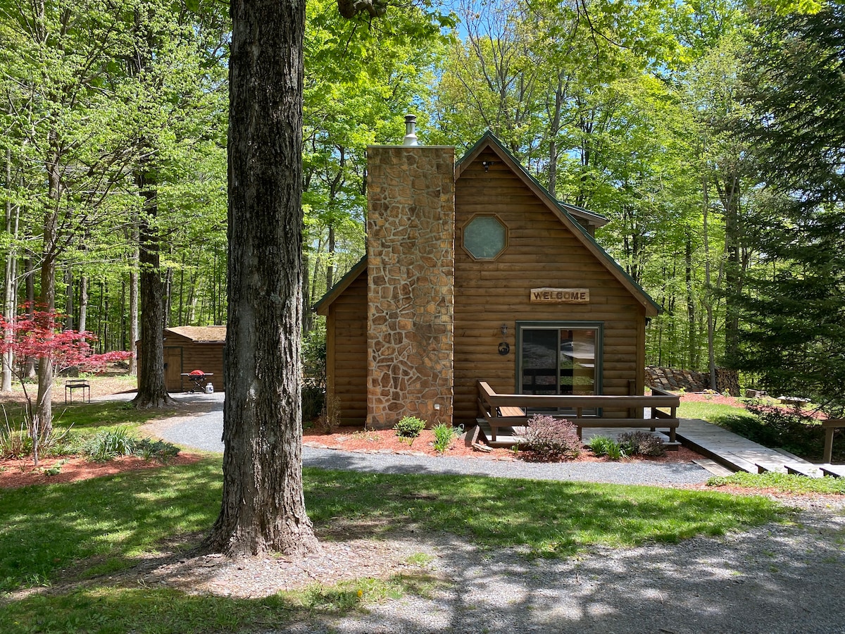 Peaceful & Serene Hillside Cabin