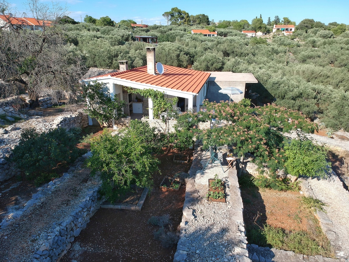 Holiday Home "Olive Tree"