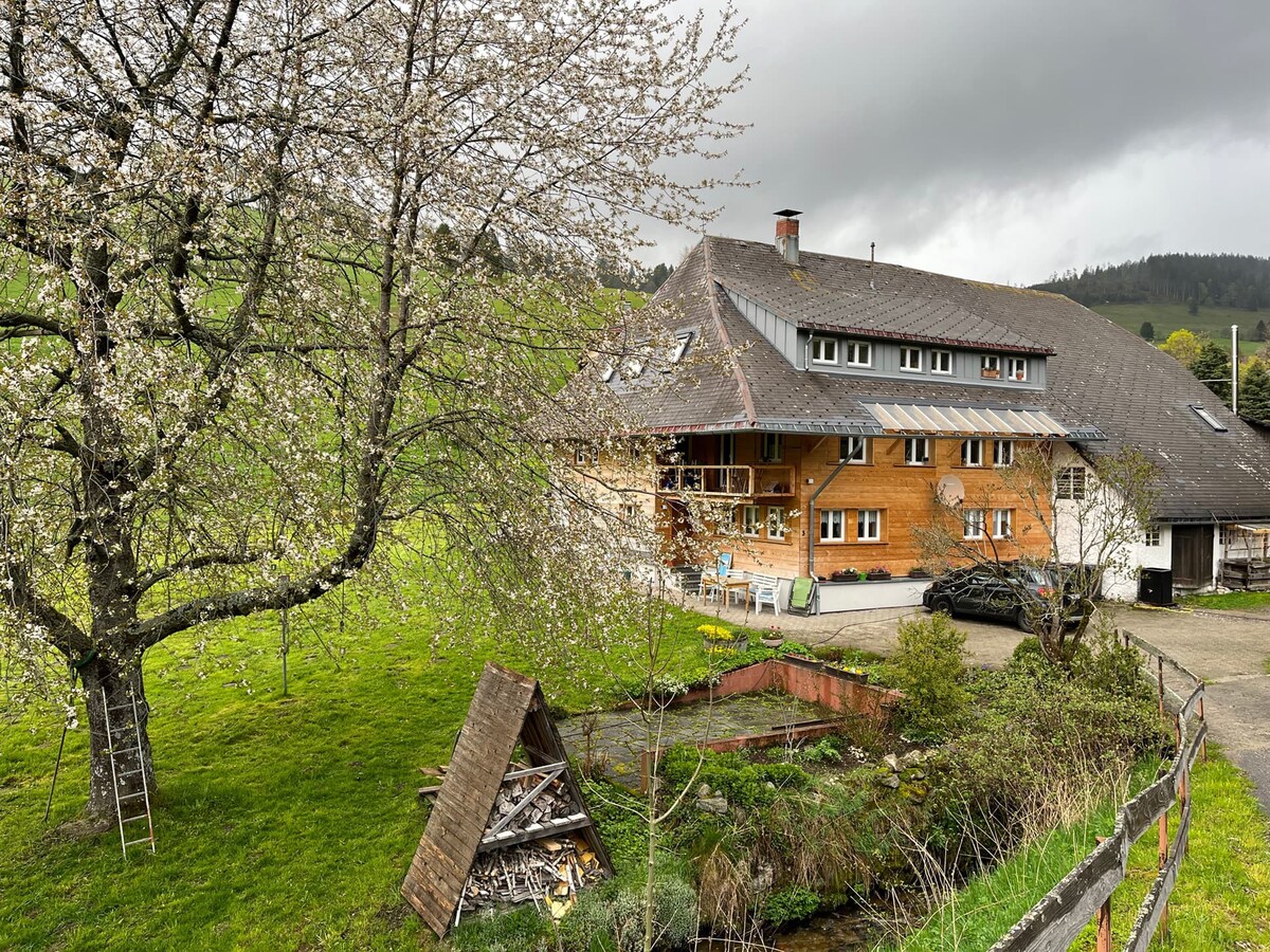 Natur pur – Ferienwohnung Haus am Bach Todtnauberg