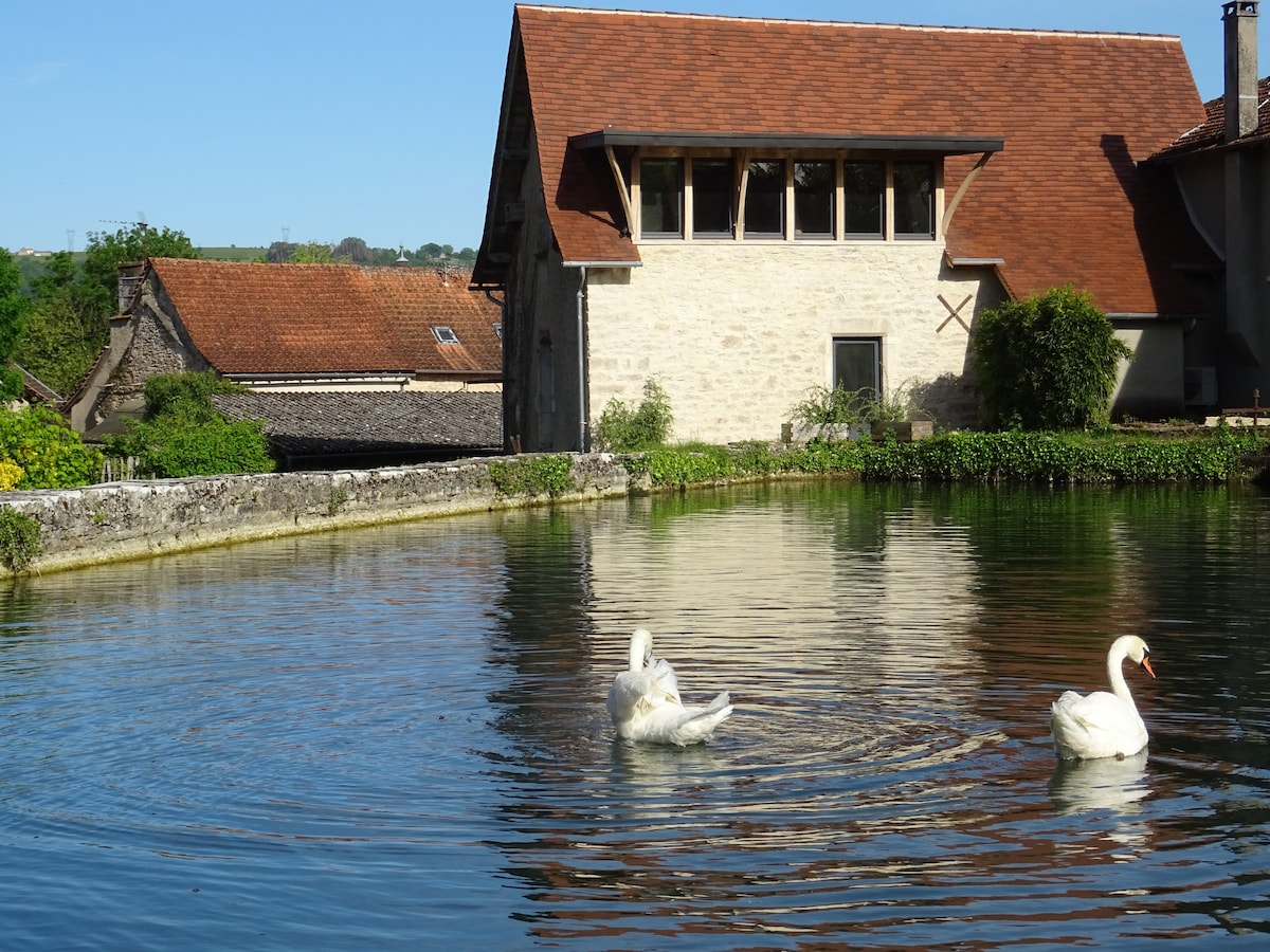 Moulin de Vasilière