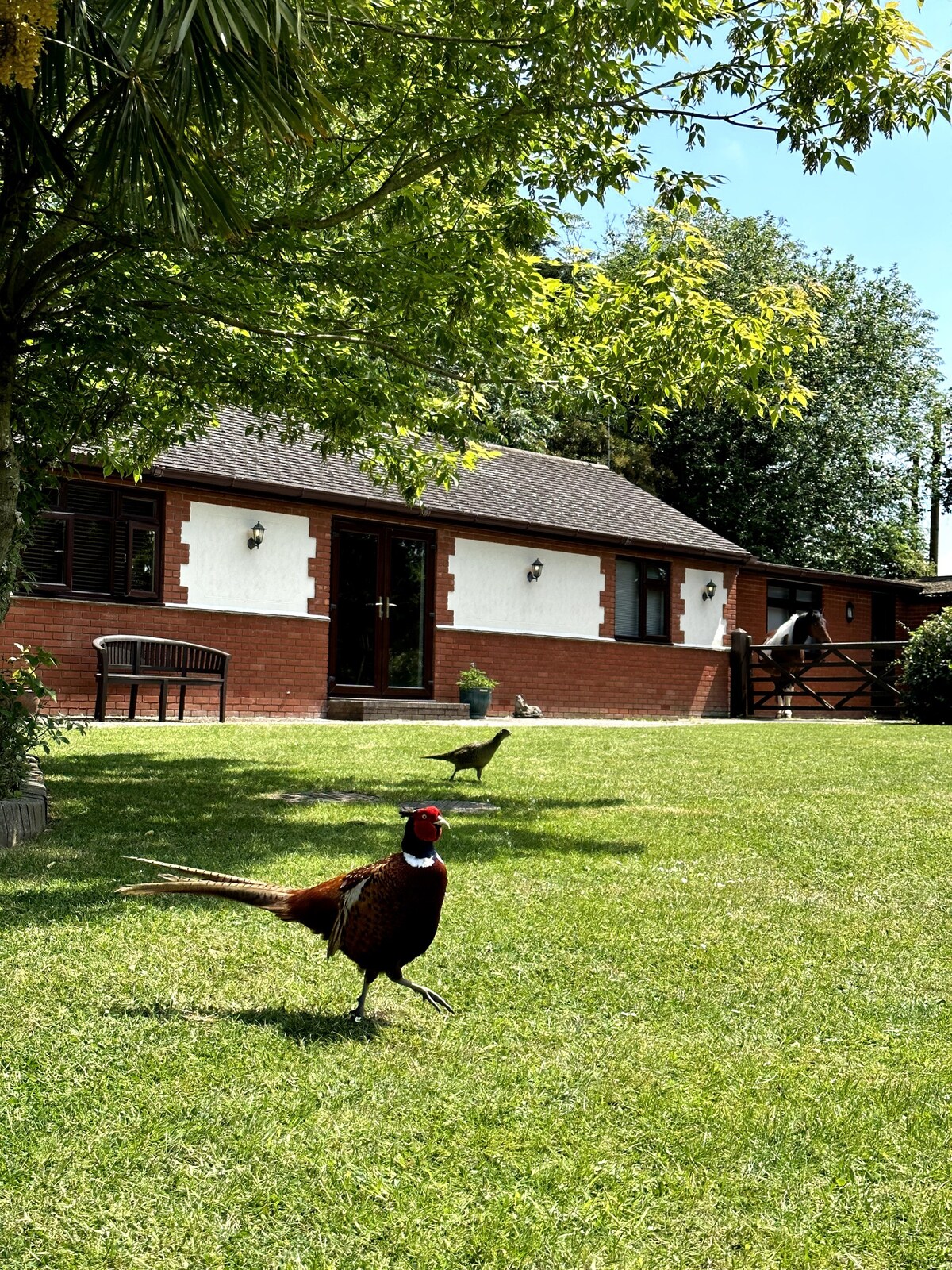 Bella Cottage Countryside Retreat, Close to London