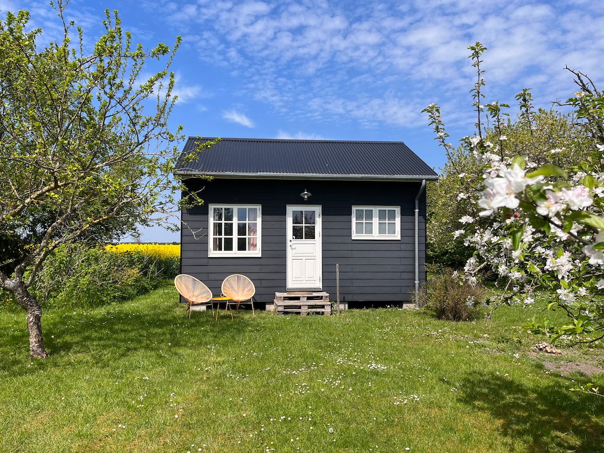 Tinyhouse i frugthaven
